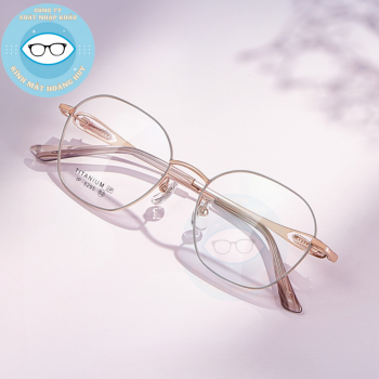 Gọng kim loại mã 6295